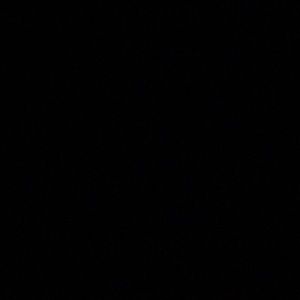 Meet your Posher, Logan